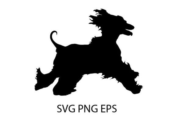 Afghan Hound Runs Silhouette