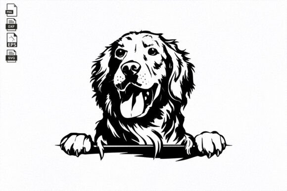 Goldie, Golden Retriever, Dog Lover